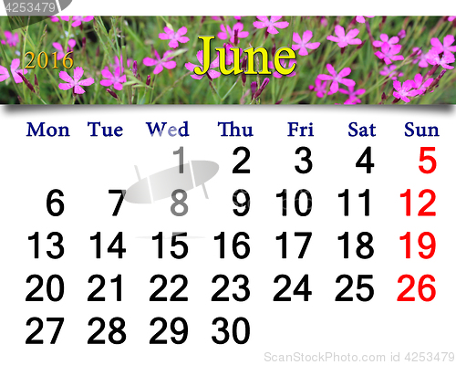 Image of calendar for June 2016 with image of wild carnation