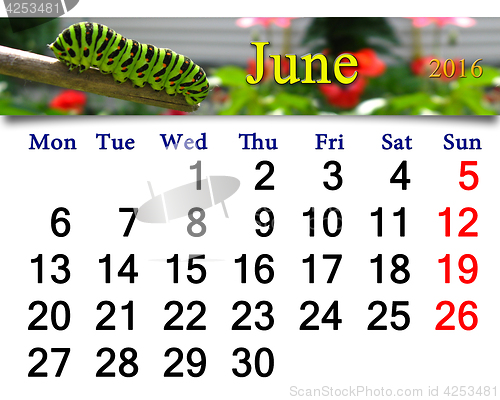 Image of calendar for June 2016 with caterpillar