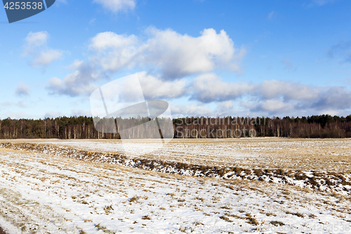 Image of Photo of snow, close-up