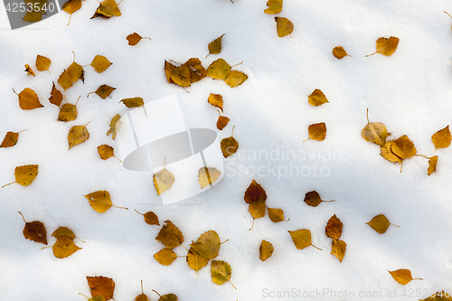 Image of snow drifts, close-up