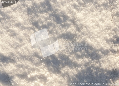 Image of snow covered surface