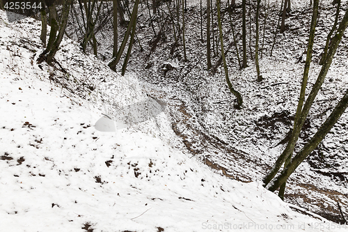 Image of trees in winter, snow