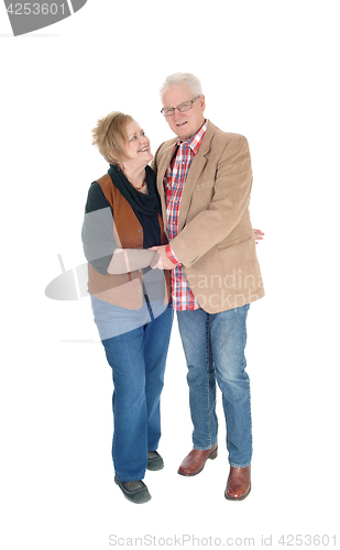 Image of Lovely senior couple standing.