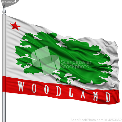 Image of Woodland City Flag on Flagpole, USA