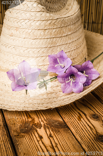 Image of Straw hat and flowering campanula, close-up