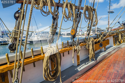 Image of People rest on Sea Days in Tallinn