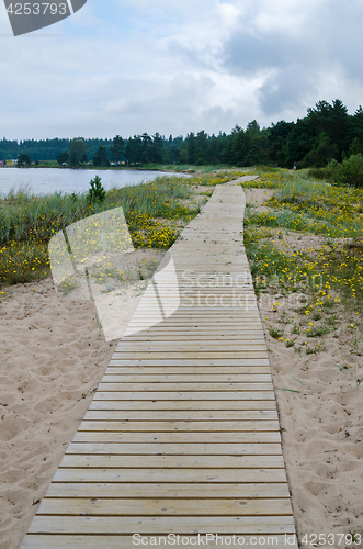 Image of Wooden path along the sandy shore of the Baltic Sea