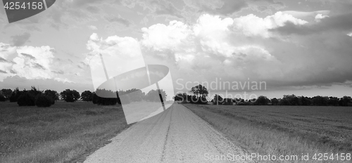 Image of Panoramic Open Graven Road Rural Texas Black and White