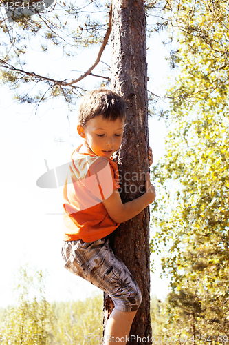 Image of little cute real boy climbing on tree hight, outdoor lifestyle c