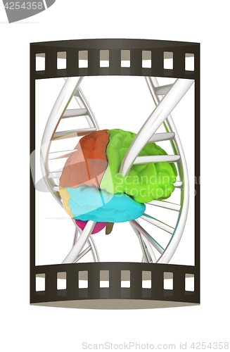 Image of Brain and dna. 3d illustration. The film strip