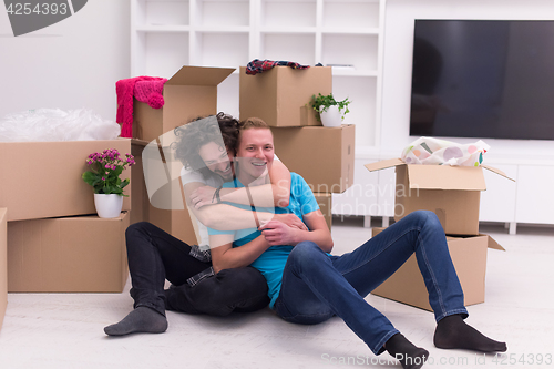 Image of young  gay couple moving  in new house