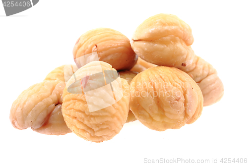 Image of fresh edible chestnuts