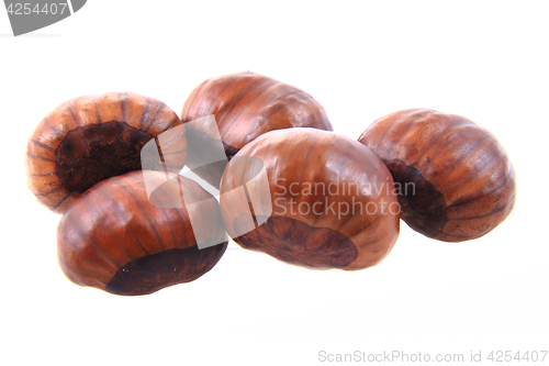 Image of fresh edible chestnuts