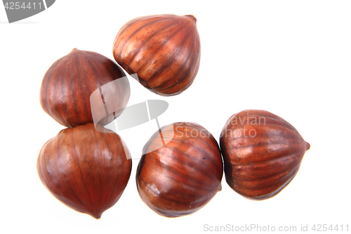 Image of fresh edible chestnuts