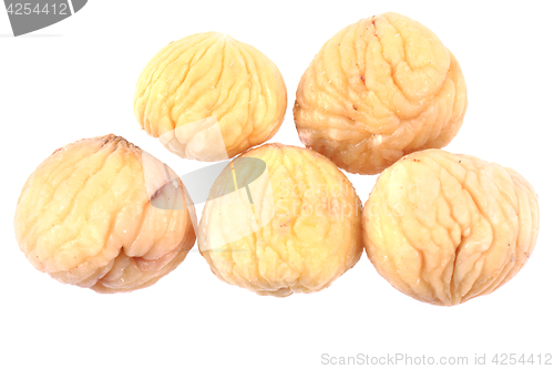 Image of fresh edible chestnuts