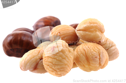 Image of fresh edible chestnuts