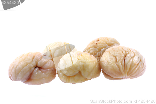 Image of fresh edible chestnuts