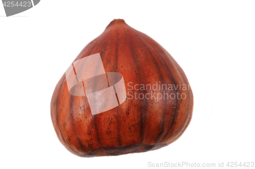 Image of fresh edible chestnut