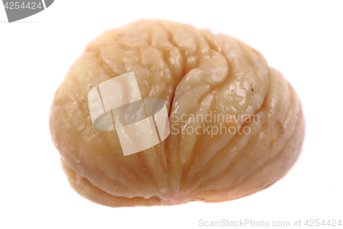 Image of fresh edible chestnut