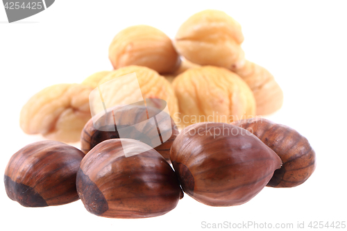 Image of fresh edible chestnuts
