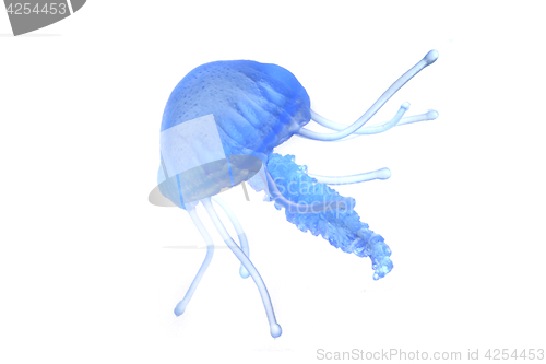 Image of blue jellyfish isolated