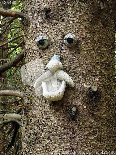 Image of Face in a tree 11