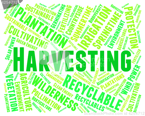 Image of Harvesting Word Means Plants Plant And Harvests