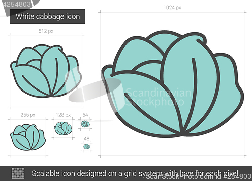 Image of White cabbage line icon.