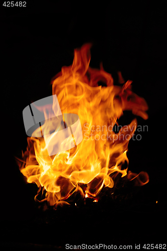 Image of Burning fire