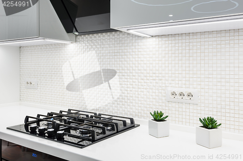 Image of Modern white kitchen