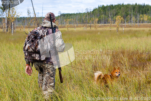 Image of autumn hunting on the swamp