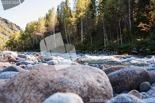 Image of Fast mountain river in Altay