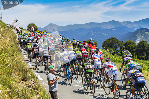 Image of The Peloton on Col d'Aspin - Tour de France 2015