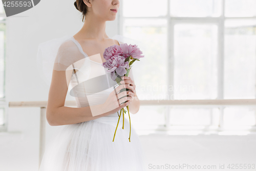 Image of Young and incredibly beautiful ballerina is posing and dancing in a white studio