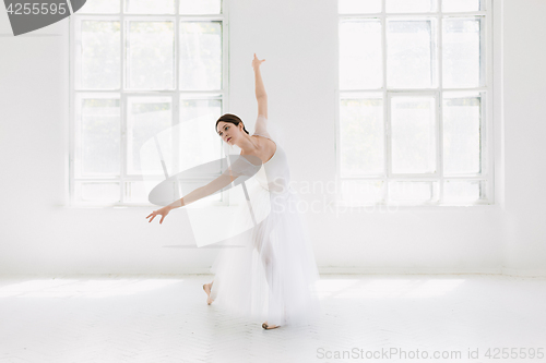 Image of Young and incredibly beautiful ballerina is posing and dancing in a white studio