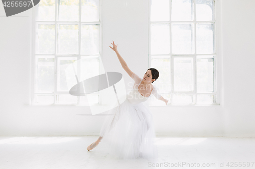 Image of Young and incredibly beautiful ballerina is posing and dancing in a white studio