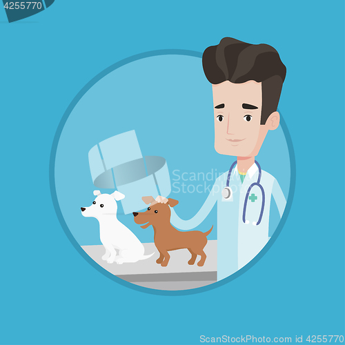 Image of Veterinarian examining dogs vector illustration.