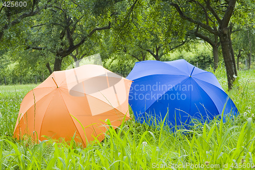 Image of Orange and blue umbrellas