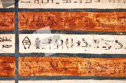 Image of Ancient Hieroglyphic Script