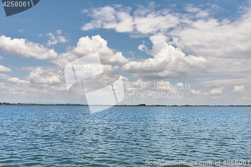 Image of Water surface with plants