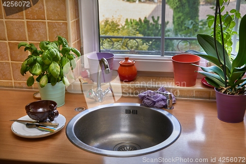 Image of Tidy Kitchen Detail