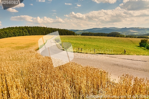 Image of Road through farmlands