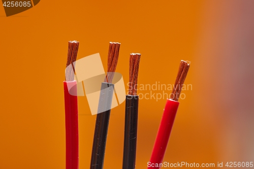 Image of Cut Speaker Cables