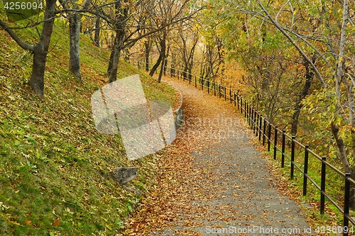 Image of Autumn park path