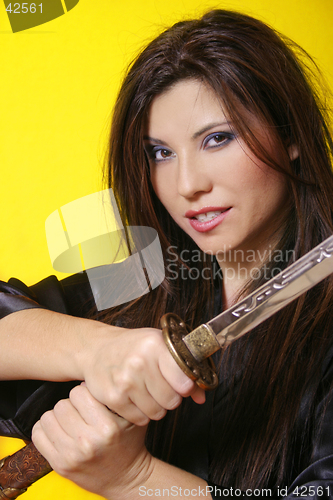 Image of Swordstress