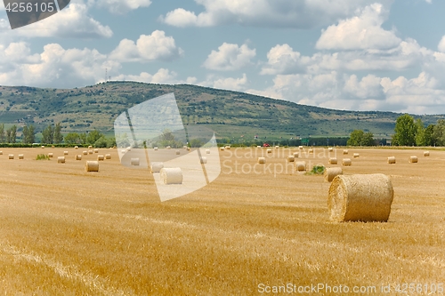 Image of Agricultural field with bales