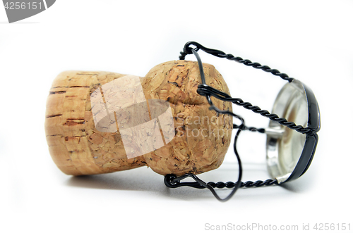 Image of Cork from champagne bottle