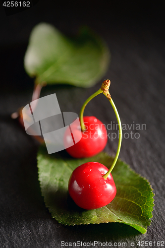 Image of cherries with leaf on ardesia  plate