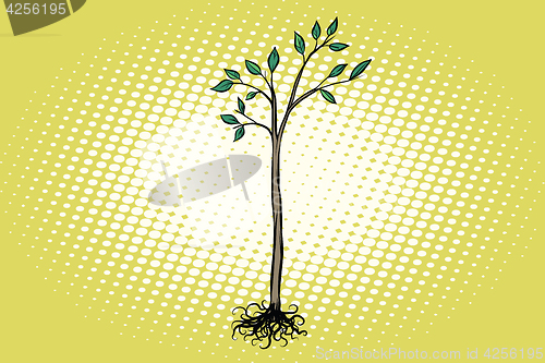 Image of tree seedling with green leaves