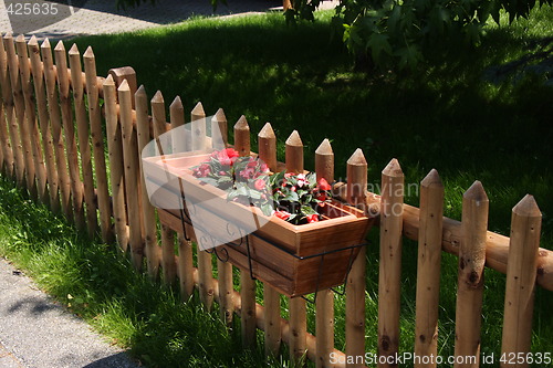 Image of Flowers on fence